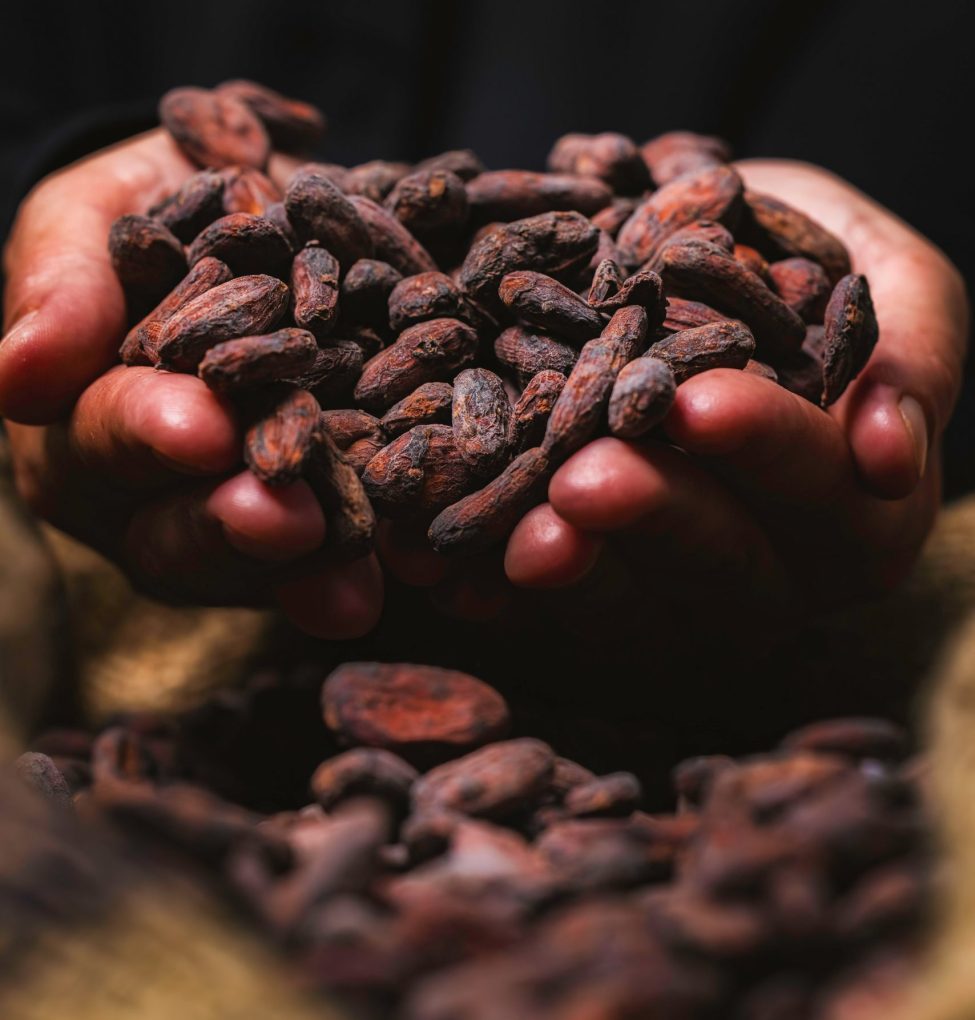 {{brizy_dc_image_alt imageSrc=